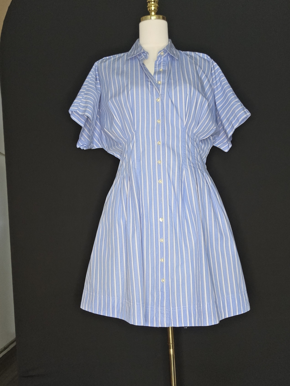 Free Assembly Button-Front Blue Stripe Shirt Dress